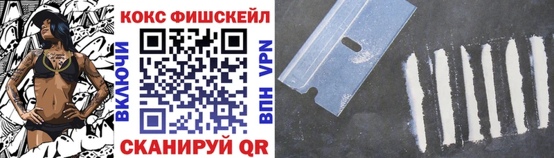 COCAIN Fish Scale  хочу   Княгинино 