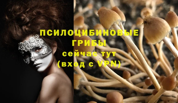 твердый Алексин
