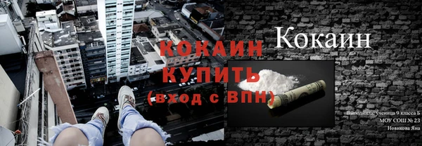 твердый Алексин