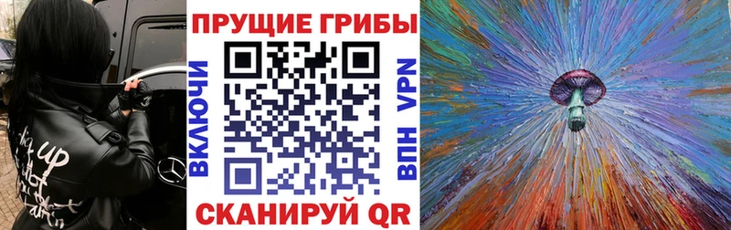 наркошоп  Княгинино  Псилоцибиновые грибы Psilocybine cubensis 
