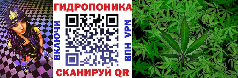 Бошки марихуана Bruce Banner  кракен ONION  Княгинино  купить наркотики сайты 
